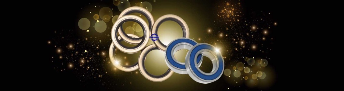 Bearing Oil Seals image