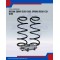 Coil Spring Rear-Datsun Sunny B310-CSI-0184