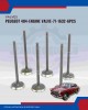 Engine Valve-Peugeot 404-71-1632