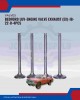 Exhaust Valve (EX)-Bedford Luv-IB-22-0 Exhaust Valve (EX)-Bedford Luv-IB-22-0