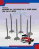 Intake Valve (IN) Set-Bedford 466-V34243