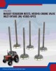 Intake Valve (IN) Set-Massey Ferguson Perkins-V3365