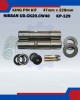 King Pin Kit Set-Nissan UD,CK20,CW40-KP-129-40025-90228 (47mmx228mm) image