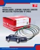 Nissan Laurel. Leopard. Fairlady. Cabster NW (Size:Std)-Piston Ring-TP-34055
